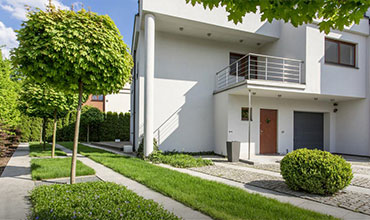 Painting Services
